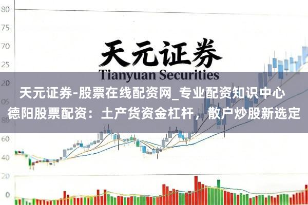 天元证券-股票在线配资网_专业配资知识中心 德阳股票配资：土产货资金杠杆，散户炒股新选定