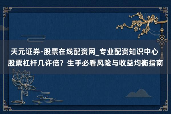 天元证券-股票在线配资网_专业配资知识中心 股票杠杆几许倍？生手必看风险与收益均衡指南