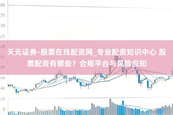 天元证券-股票在线配资网_专业配资知识中心 股票配资有哪些？合规平台与风险应知