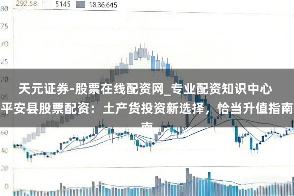 天元证券-股票在线配资网_专业配资知识中心 平安县股票配资：土产货投资新选择，恰当升值指南