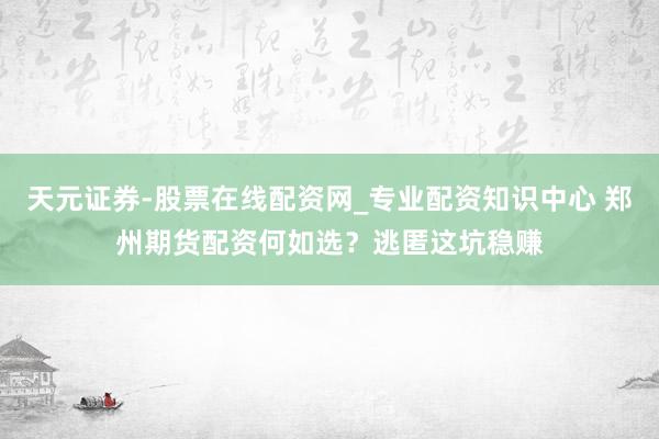 天元证券-股票在线配资网_专业配资知识中心 郑州期货配资何如选？逃匿这坑稳赚