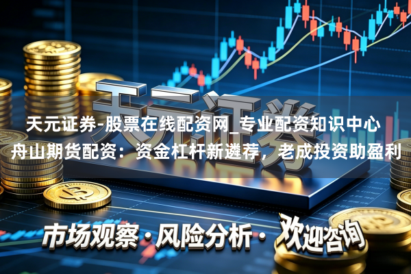 天元证券-股票在线配资网_专业配资知识中心 舟山期货配资：资金杠杆新遴荐，老成投资助盈利