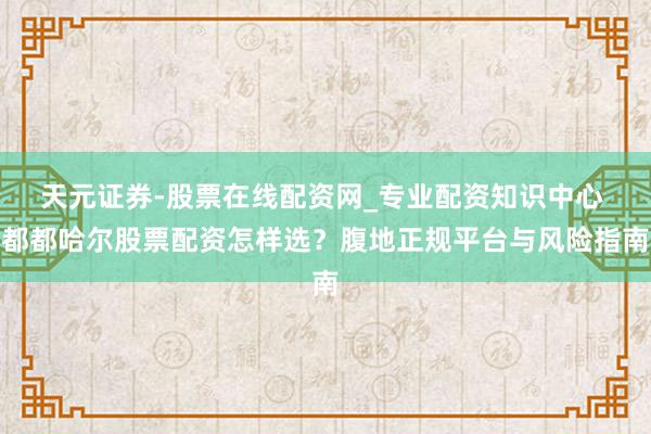 天元证券-股票在线配资网_专业配资知识中心 都都哈尔股票配资怎样选？腹地正规平台与风险指南