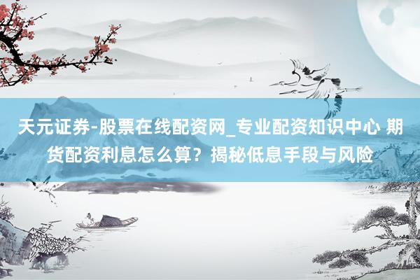 天元证券-股票在线配资网_专业配资知识中心 期货配资利息怎么算？揭秘低息手段与风险