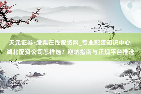 天元证券-股票在线配资网_专业配资知识中心 湖北配资公司怎样选？避坑指南与正规平台推选