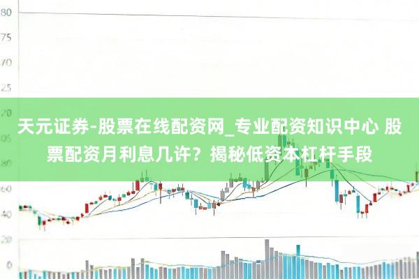 天元证券-股票在线配资网_专业配资知识中心 股票配资月利息几许？揭秘低资本杠杆手段