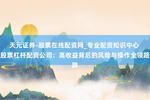 天元证券-股票在线配资网_专业配资知识中心 股票杠杆配资公司：高收益背后的风险与操作全领路