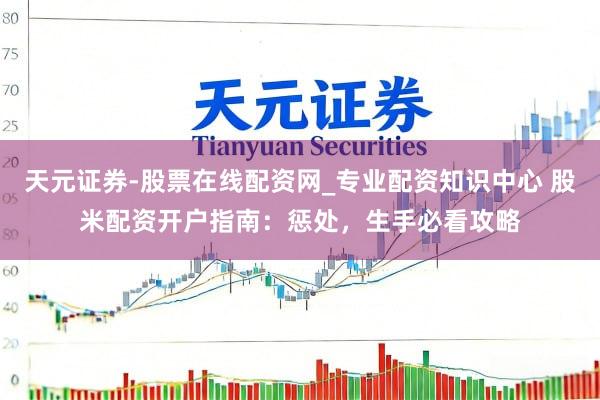 天元证券-股票在线配资网_专业配资知识中心 股米配资开户指南：惩处，生手必看攻略