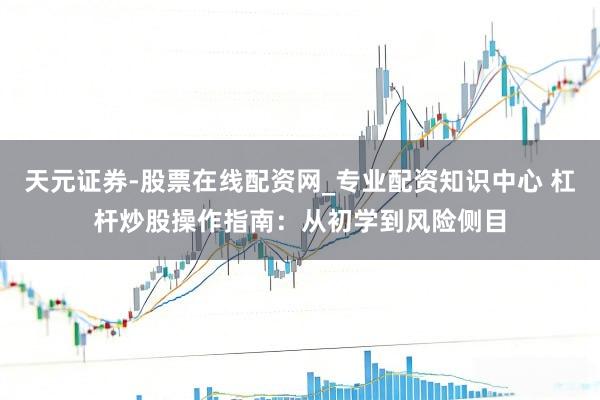 天元证券-股票在线配资网_专业配资知识中心 杠杆炒股操作指南：从初学到风险侧目