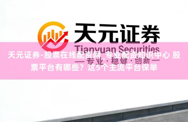 天元证券-股票在线配资网_专业配资知识中心 股票平台有哪些？这5个主流平台保举