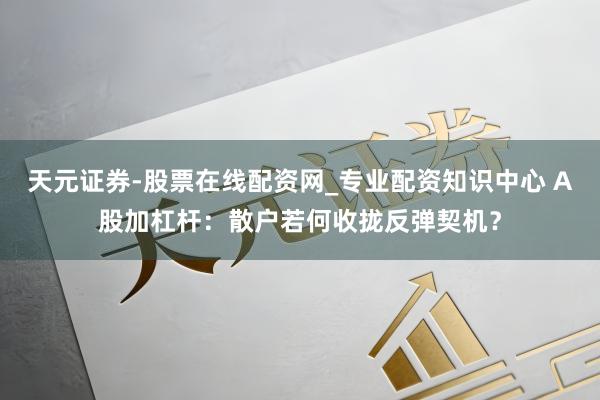 天元证券-股票在线配资网_专业配资知识中心 A股加杠杆：散户若何收拢反弹契机？