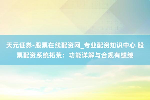 天元证券-股票在线配资网_专业配资知识中心 股票配资系统拓荒：功能详解与合规有缱绻