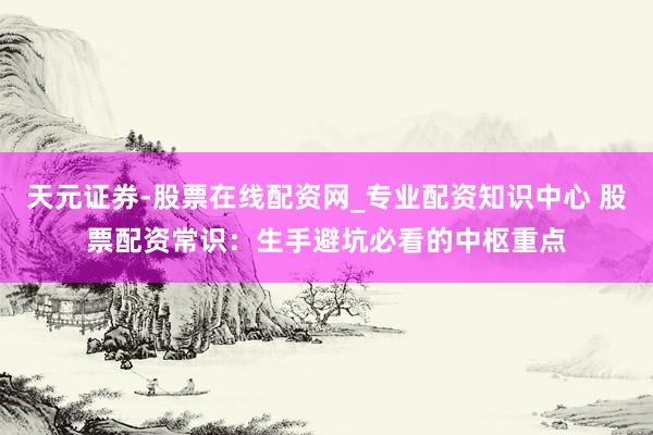 天元证券-股票在线配资网_专业配资知识中心 股票配资常识：生手避坑必看的中枢重点