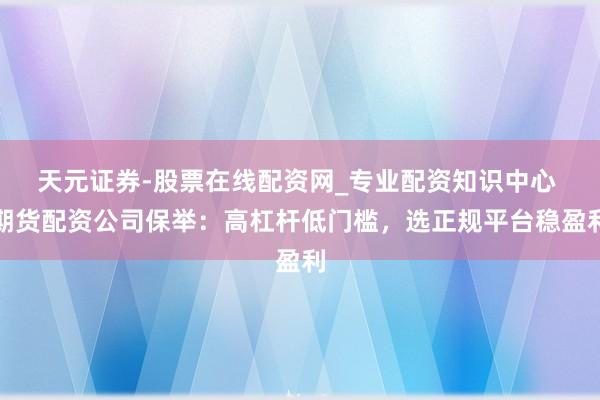 天元证券-股票在线配资网_专业配资知识中心 期货配资公司保举：高杠杆低门槛，选正规平台稳盈利
