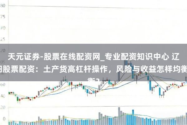天元证券-股票在线配资网_专业配资知识中心 辽阳股票配资：土产货高杠杆操作，风险与收益怎样均衡？