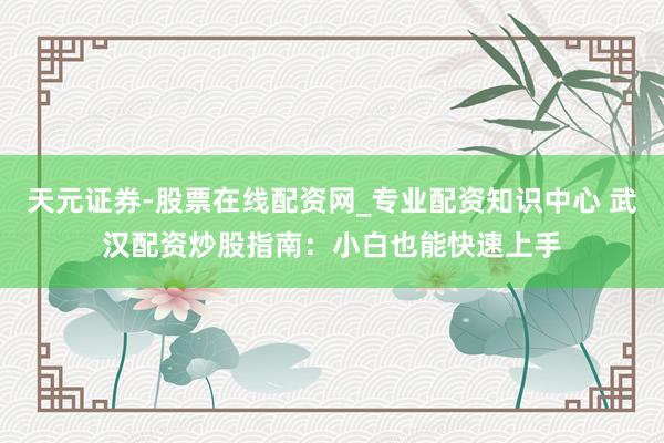 天元证券-股票在线配资网_专业配资知识中心 武汉配资炒股指南：小白也能快速上手