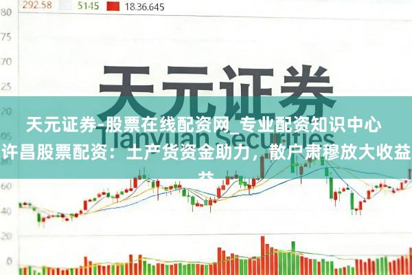 天元证券-股票在线配资网_专业配资知识中心 许昌股票配资：土产货资金助力，散户肃穆放大收益