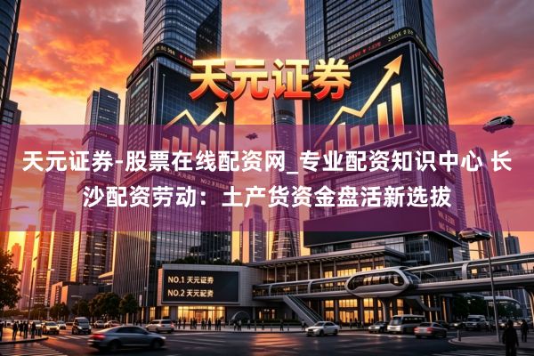 天元证券-股票在线配资网_专业配资知识中心 长沙配资劳动：土产货资金盘活新选拔