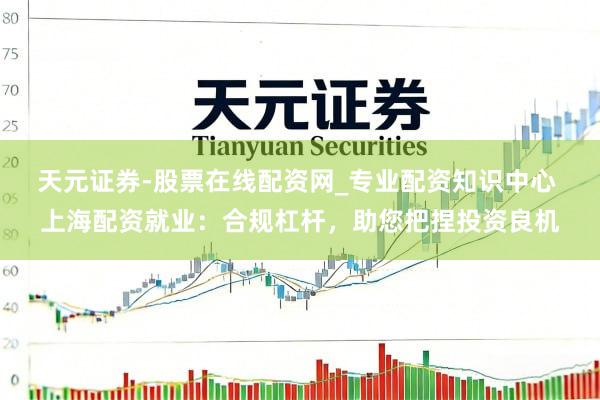 天元证券-股票在线配资网_专业配资知识中心 上海配资就业：合规杠杆，助您把捏投资良机