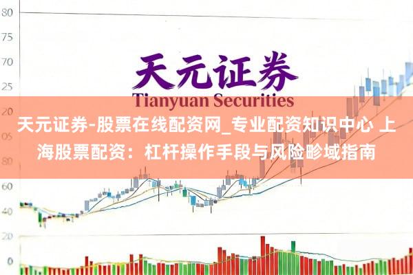 天元证券-股票在线配资网_专业配资知识中心 上海股票配资：杠杆操作手段与风险畛域指南