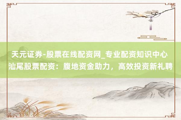 天元证券-股票在线配资网_专业配资知识中心 汕尾股票配资：腹地资金助力，高效投资新礼聘