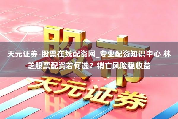 天元证券-股票在线配资网_专业配资知识中心 林芝股票配资若何选？销亡风险稳收益