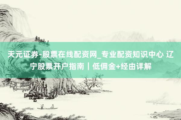 天元证券-股票在线配资网_专业配资知识中心 辽宁股票开户指南｜低佣金+经由详解