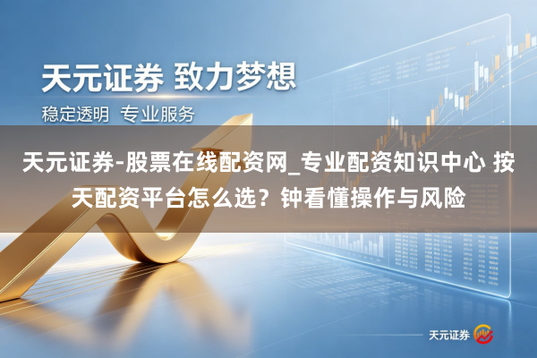 天元证券-股票在线配资网_专业配资知识中心 按天配资平台怎么选？钟看懂操作与风险