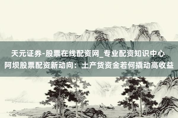 天元证券-股票在线配资网_专业配资知识中心 阿坝股票配资新动向：土产货资金若何撬动高收益