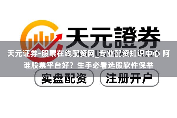 天元证券-股票在线配资网_专业配资知识中心 阿谁股票平台好？生手必看选股软件保举