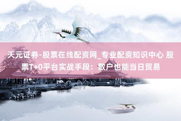 天元证券-股票在线配资网_专业配资知识中心 股票T+0平台实战手段：散户也能当日贸易