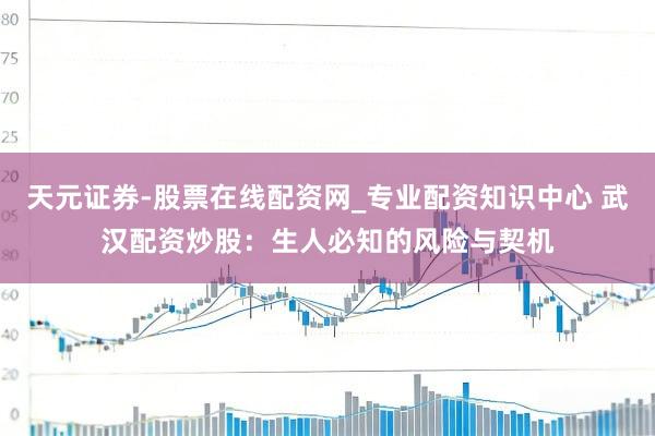 天元证券-股票在线配资网_专业配资知识中心 武汉配资炒股：生人必知的风险与契机