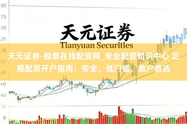 天元证券-股票在线配资网_专业配资知识中心 正规配资开户指南：安全、低门槛，散户首选
