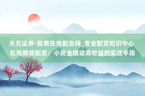 天元证券-股票在线配资网_专业配资知识中心 在线期货配资：小资金撬动高收益的实战手段