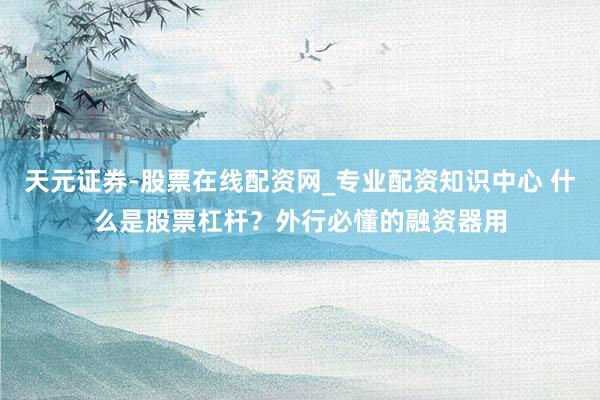 天元证券-股票在线配资网_专业配资知识中心 什么是股票杠杆？外行必懂的融资器用