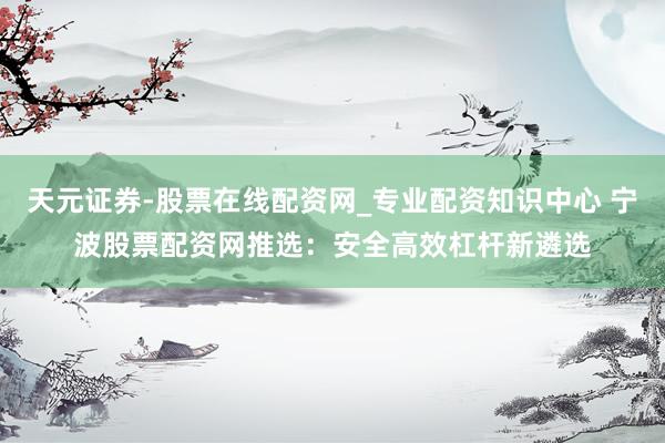 天元证券-股票在线配资网_专业配资知识中心 宁波股票配资网推选：安全高效杠杆新遴选