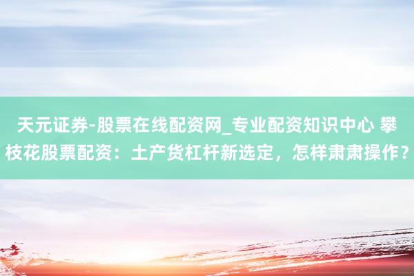 天元证券-股票在线配资网_专业配资知识中心 攀枝花股票配资：土产货杠杆新选定，怎样肃肃操作？