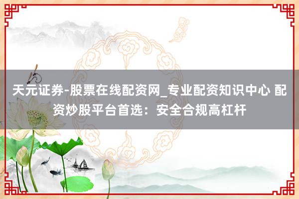 天元证券-股票在线配资网_专业配资知识中心 配资炒股平台首选：安全合规高杠杆