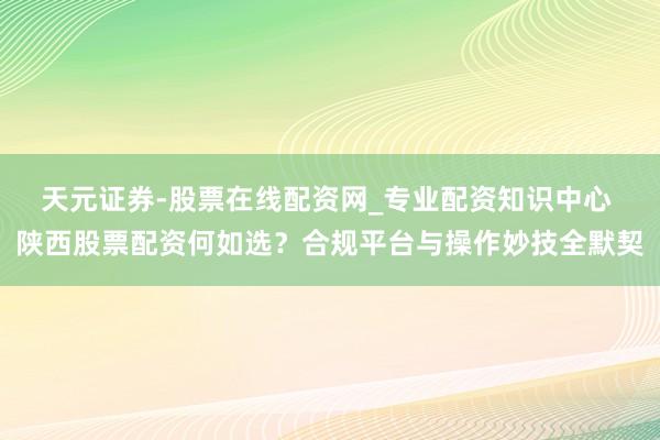 天元证券-股票在线配资网_专业配资知识中心 陕西股票配资何如选？合规平台与操作妙技全默契