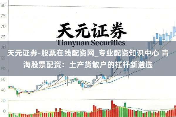 天元证券-股票在线配资网_专业配资知识中心 青海股票配资：土产货散户的杠杆新遴选