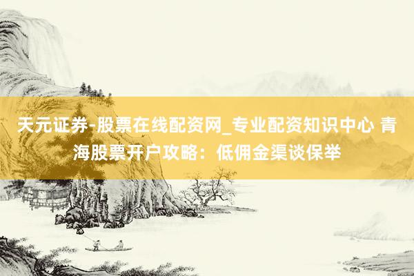 天元证券-股票在线配资网_专业配资知识中心 青海股票开户攻略：低佣金渠谈保举