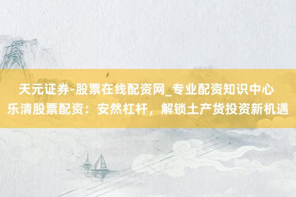 天元证券-股票在线配资网_专业配资知识中心 乐清股票配资:安然杠杆,解锁土产货投资新机遇