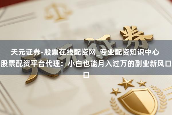 天元证券-股票在线配资网_专业配资知识中心 股票配资平台代理:小白也能月入过万的副业新风口