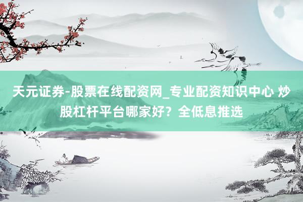 天元证券-股票在线配资网_专业配资知识中心 炒股杠杆平台哪家好？全低息推选
