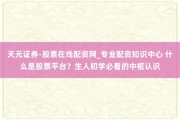 天元证券-股票在线配资网_专业配资知识中心 什么是股票平台？生人初学必看的中枢认识