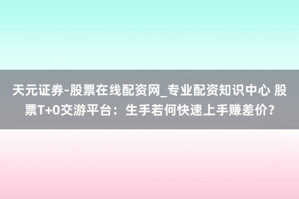 天元证券-股票在线配资网_专业配资知识中心 股票T+0交游平台:生手若何快速上手赚差价?