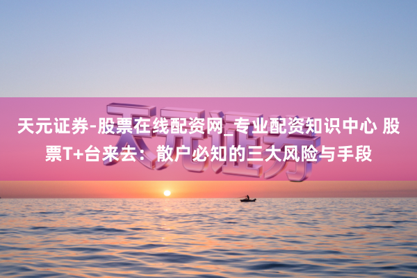 天元证券-股票在线配资网_专业配资知识中心 股票T+台来去：散户必知的三大风险与手段