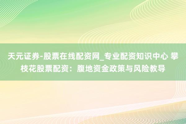 天元证券-股票在线配资网_专业配资知识中心 攀枝花股票配资：腹地资金政策与风险教导