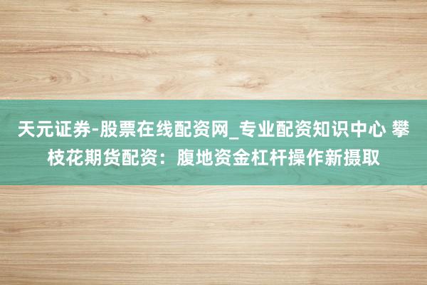 天元证券-股票在线配资网_专业配资知识中心 攀枝花期货配资：腹地资金杠杆操作新摄取