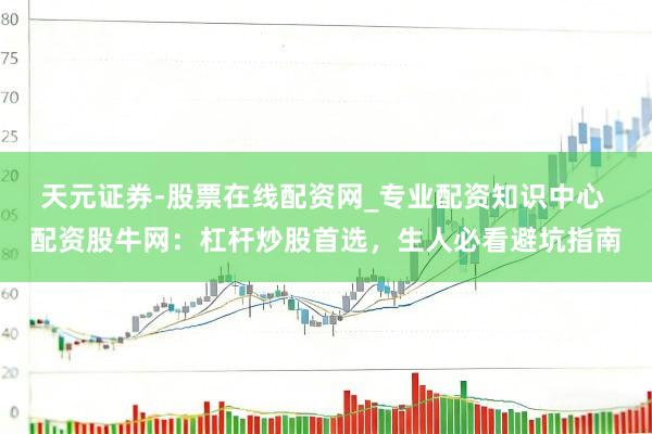 天元证券-股票在线配资网_专业配资知识中心 配资股牛网：杠杆炒股首选，生人必看避坑指南
